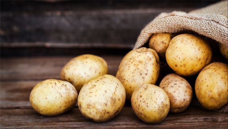 <p> बटाटे पौष्टिक असतात. त्याचे मुख्य पोषण स्टार्च आहे. यात काही प्रमाणात प्रोटीन देखील असते. बटाटा अल्कधर्मी आहे, म्हणून शरीरात क्षारांचे प्रमाण वाढविण्यात किंवा टिकवून ठेवण्यास हे खूप फायदेशीर आहे. & nbsp; & nbsp; </ p> 