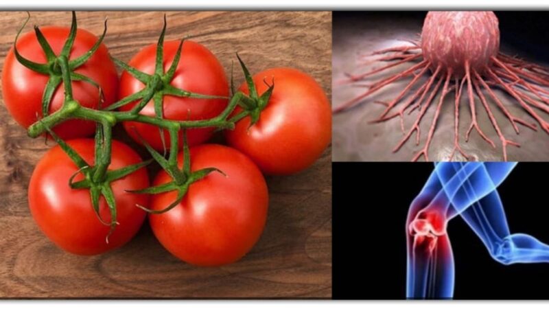 टोमॅटोचे सेवन केल्याने आरोग्यास बर्‍याच उत्कृष्ट फायदे मिळतात, त्याच्या प्रचंड फायद्यांबद्दल जाणून घ्या